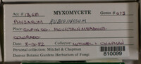 Image Associated With the Occurence